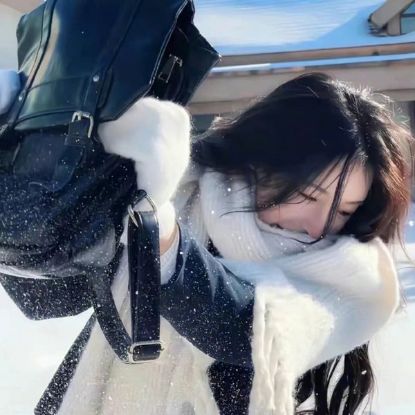 贞洁的荡妇