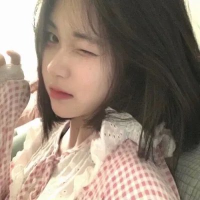 来自法国的玫瑰